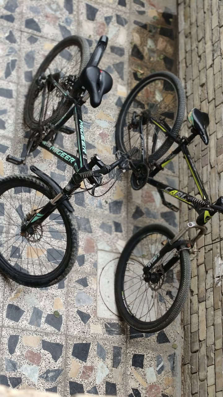 مراوس شعندك نزل


**إذا كنت صاحب هذا الإعلان وتريد حذفه لأي سبب، رجاءا أرسل رسالة إلى الدعم الفني**