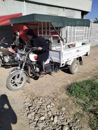 ستوته فحل • موديل 22 • كياره