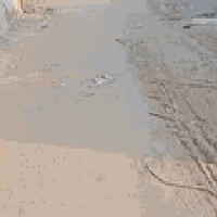 كربلاء كنطره • ٥٠م • مشمول طابو