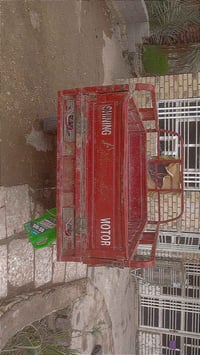 ستوته • موديل ٢٠١٣ • بابل المحاويل