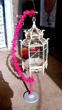 قفص ملكي • طيور حب • ابو لورده