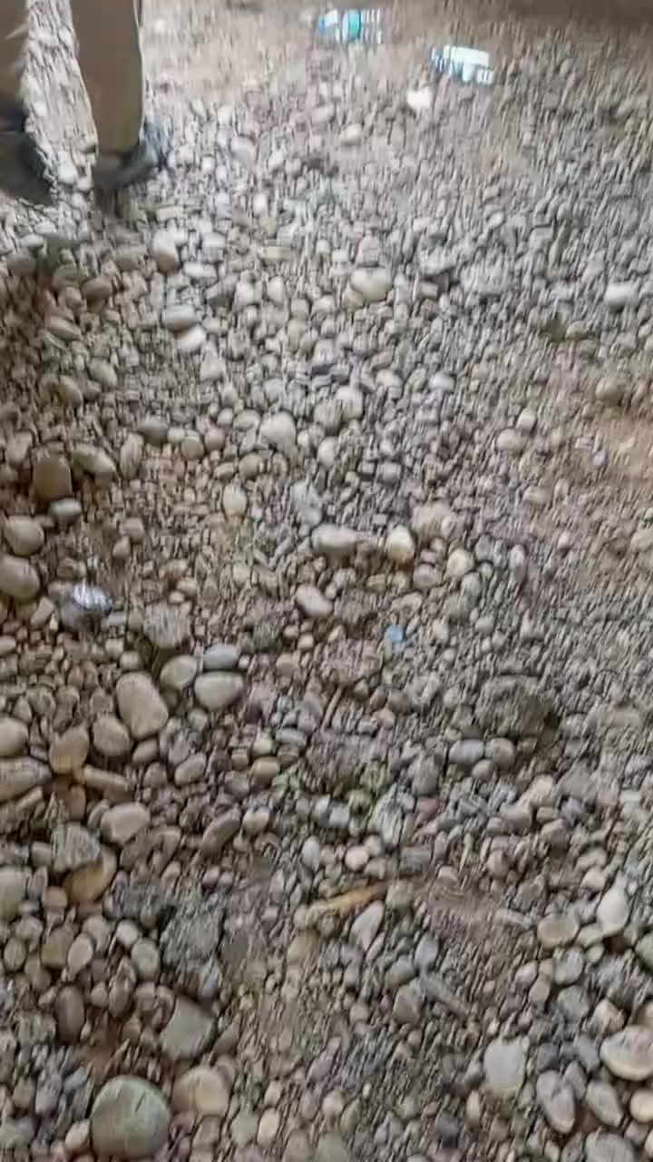 السلام عليكم
بنة متفرغ لبخ تكعيبات بناء حياطين صبات سقل ولاش 
تصفير بيوت حفر قصاطل وبناء ونجارة وصب بناء بيتونات وستارة 
***********
اتصل واتدلل
