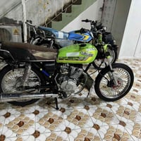 تايكر • خضرتين • بدون أوراق