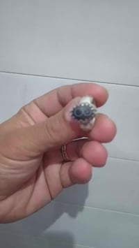 سليماني قديم اسود على رصاصي للبيع مكاني بغداد الشراي هذا رقمي بي واتسا...