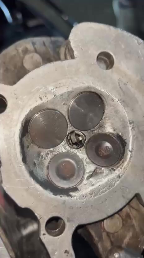 سلام عليكم كاوار البيع اكاور اربع ولفات كبار كاور بلادي تايواني مال مزامط السعر خاص


**إذا كنت صاحب هذا الإعلان وتريد حذفه لأي سبب، رجاءا أرسل رسالة إلى الدعم الفني**