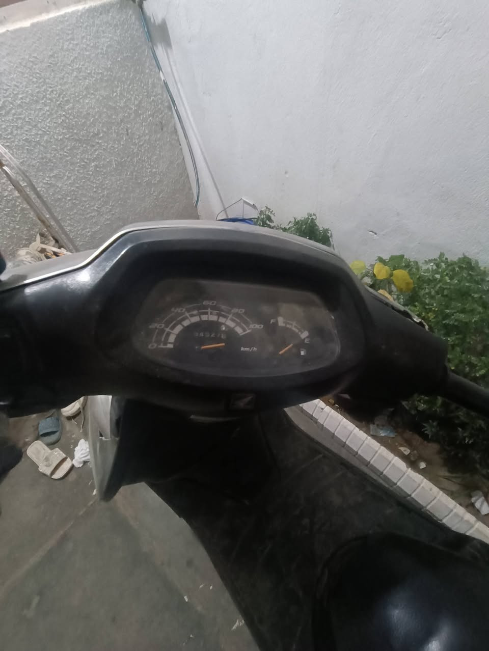 السلام عليكم سبيسي ياباني للمراوس بدراجه انضف وانطي فرق كلشي مابيها نكره سلف محرك اخرس فقط بيها دخانه اول متشغلها ثواني ويكطع باقي كله مكفول مكاني كاظمية


**إذا كنت صاحب هذا الإعلان وتريد حذفه لأي سبب، رجاءا أرسل رسالة إلى الدعم الفني**