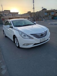 سوناته • ٢٠١٣ • وارد أمريكي