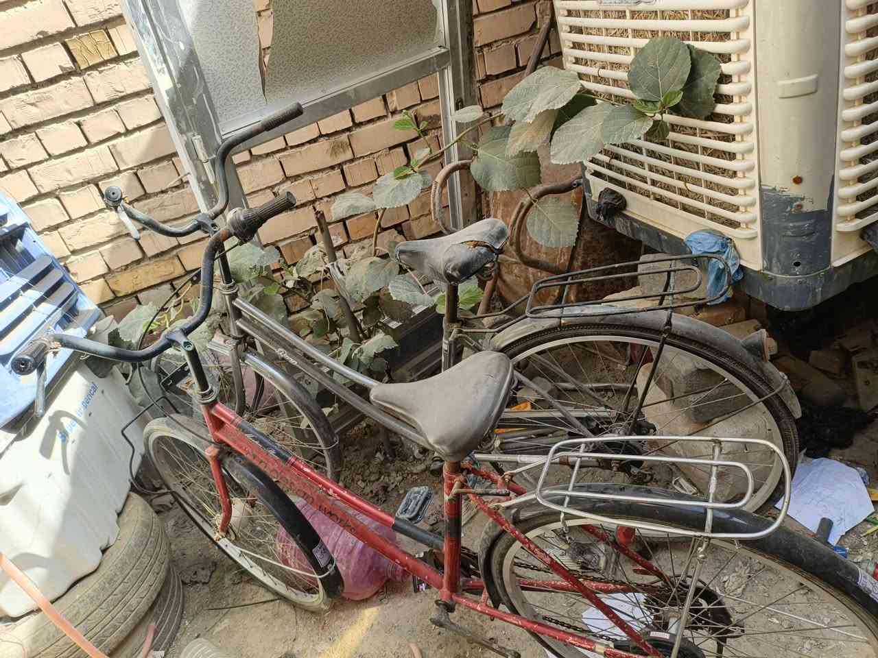 سلام عليكم باسكلات عدد ثنين واحد عقرب والثاني عادي العقرب شغال منضومته كامله بس اول واحد الاحمر حجم 26 موديل 2015 ياباني اصلي والثاني حجمه 27 ما بيه اي شي نقصه بس ويل وره تصفيه وسكان السعر ثنيناتهن 65 وبيهن مجال للطيبين واليريد اجيبهن اله بيه خير ويتدلل بس راسلني خاص مكاني حي الفرات الباب الخلفي مال مدرسه السنبله للبنات قريب عليه


**إذا كنت صاحب هذا الإعلان وتريد حذفه لأي سبب، رجاءا أرسل رسالة إلى الدعم الفني**