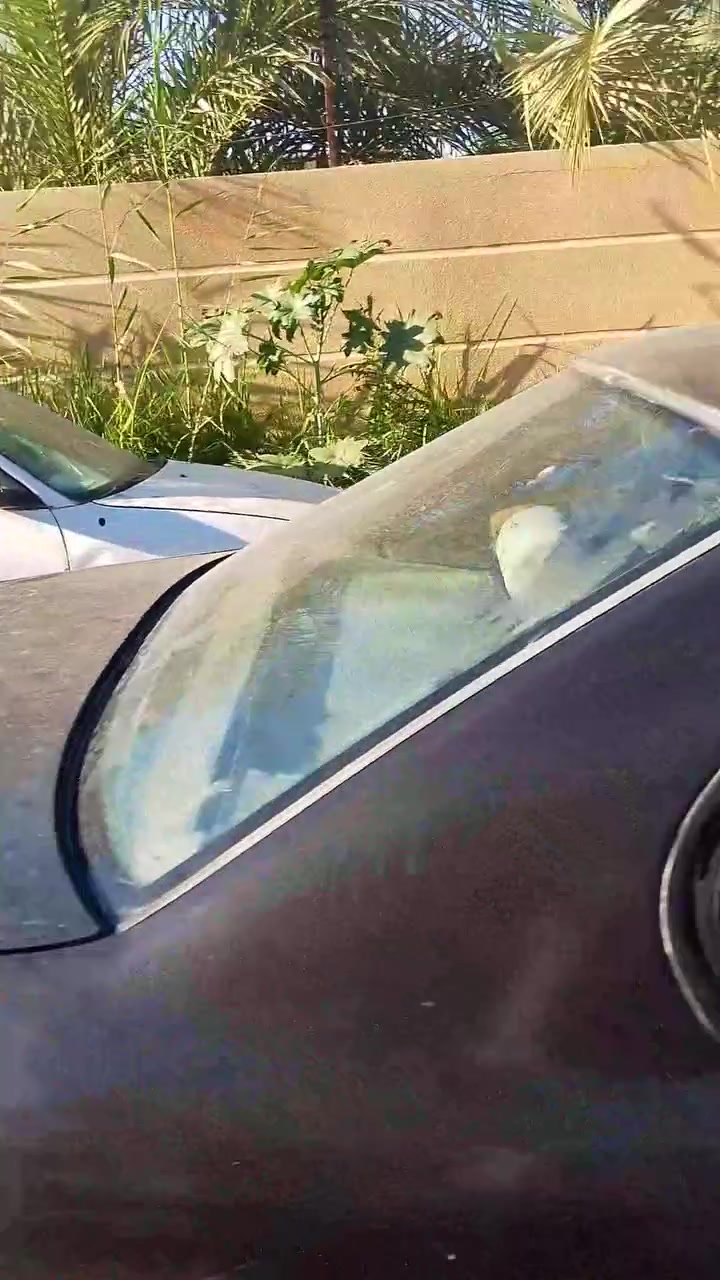 سلام عليكم 
بي ام 525محرك مفتوح كير عادي 
موديل89  سيارة مال تعمير عضمته حلوه  صدر  امامي خلفي جديد  اكسل جديد معدل وبطناش 
اعيد وكرر سيارة مال تعمير 
سعر 28وبيه مجال او مراوس حسب لقناعه
ملاحضه سنوية كارتونيه تاخذ صافي

مكان فلوجه ناحيت صقلاويه
الاستفسار ***********
