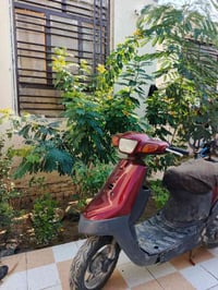 بترا • تحتاج بطارية • ناصرية اريدو