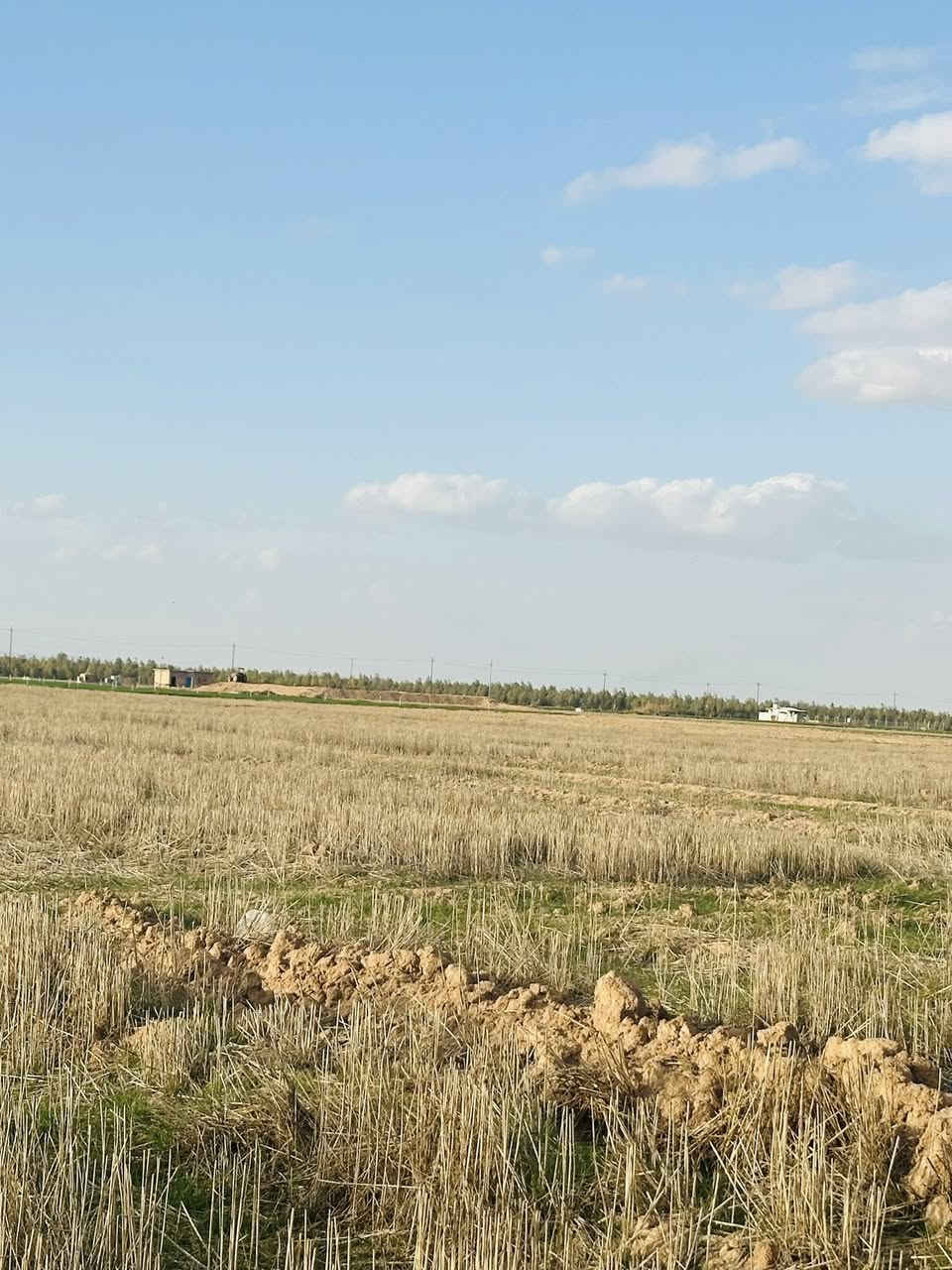 السلام عليكم حصرياً وبسعر روعه اليوم جمعنه مزارع عدد 2 بمنشور واحد
1-شارع الخزيفي

2-شارع الزيتون 

لكم موجز سريع الخزيفي كل الخدمات ماء كهرباء تبليط يبعد 100 متر المساحه 3 دوانم 

الزيتون 7 دوانم ماء كهرباء مكان مميز 

السعر اذا مو بلاش بعد ماانشر 

للاستفسار ***********📞📞

الردود على مدار 24 ساعه 

مسج📩📩📩

الرد📮📮📮
