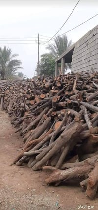 نشتري خشب • نشتري بستان • المشاهدة