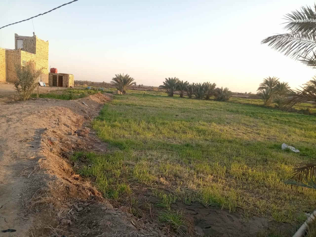 السلام عليكم اخوان عندنا هاي الارض للبيع المساحه اثنين دونم وربع يتكون بيهه بيت البيت  ثلاث غرف 4 × 6 صاله 9 × 4 + صاله 12 × 4 +  براني 12 متر البيت كامل سيراميك جدران ارضيه بيبان تسقام شبابيك تسقام المنيوم كهربائيات من كل شيء جاهز حمام داخلي درج كامل مكمل والارض صالحه للزراعه وبها اعداد من النخيل ماء وكهرباء ملاحظه مع العلم ان البراني يريد تشطيب تشطيب داخلي فقط البيت الداخلي نقص بيه بس البيبان الخشب *********** العنوان الديوانيه السدير الطريق السياحي قرب مشروع غاز عبادي العبدان
