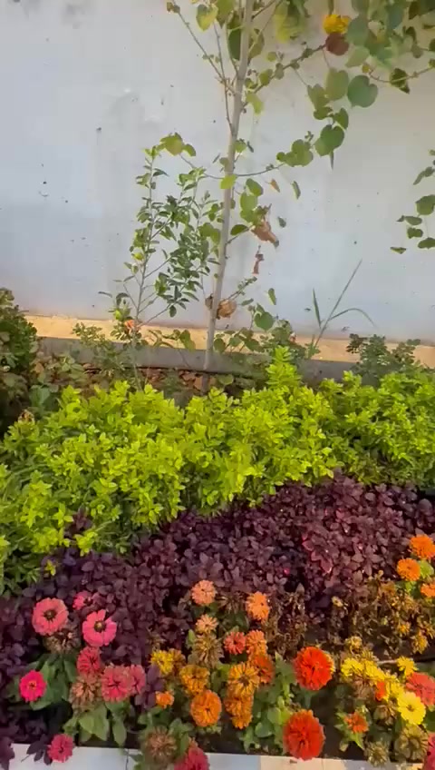 🌟 مـزرعة VIP 🌟
الرفاهية والخصوصية التامة في قلب "البعيثة"
استمتع بأجواء استثنائية تجمع بين حداثة التصميم وهدوء الريف:
• 🏊‍♂️ مسبح داخلي VIP: مغلق بالكامل، بنظام إضاءة ليلي وشلال جداري (صيفاً وشتاءً).
• 🎮 ترفيه متكامل: صالة واسعة، PlayStation، وطاولة تنس لمنافسات لا تُنسى.
• 🛌 غرف نوم بانورامية: إطلالات زجاجية مباشرة على الحديقة بتصميم مودرن فاخر.
• 🌳 حدائق ملكية: مساحات خضراء واسعة، جلسات خارجية (آلاچيق)، ومنطقة شواء احترافية.
علماً :- المزرعة موثقة في تطبيق اجرلي

📍 الموقع: بغداد - البعيثة.
📞 للحجز والاستفسار: [***********]

او مراسلتنا على الواتساب من خلال الرابط:- 

https://api.whatsapp.com/send/?phone=9647771588622&text&type=phone_number&app_absent=0&wame_ctl=1
