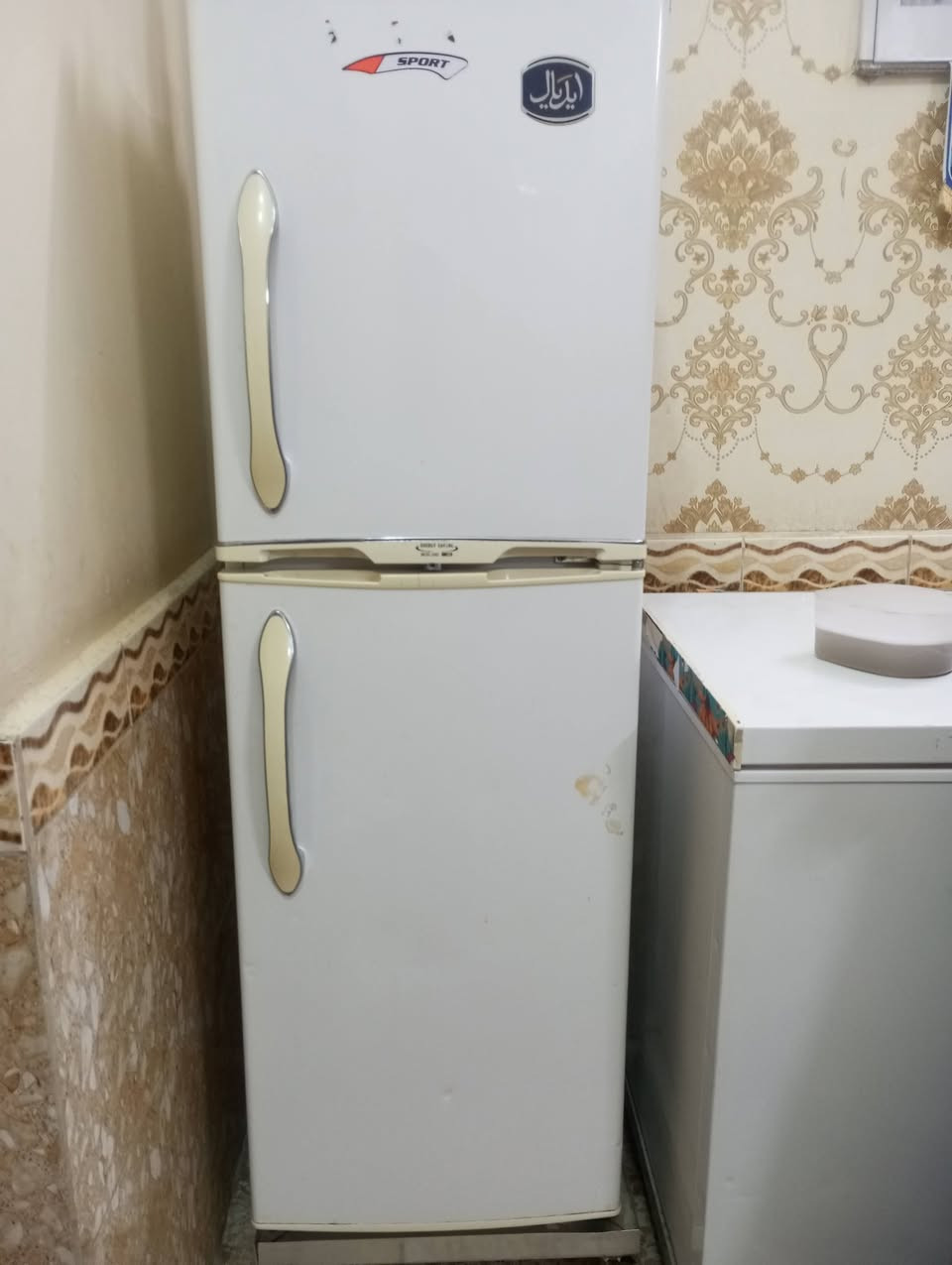 السلام عليكم ورحمة الله وبركاته ثلاجات البيع نضيفات كلش والتجميد كلش زين السعر الوحده ٢٠٠ وبيهن مجال والشراي يجي خاص واني خادم


**إذا كنت صاحب هذا الإعلان وتريد حذفه لأي سبب، رجاءا أرسل رسالة إلى الدعم الفني**