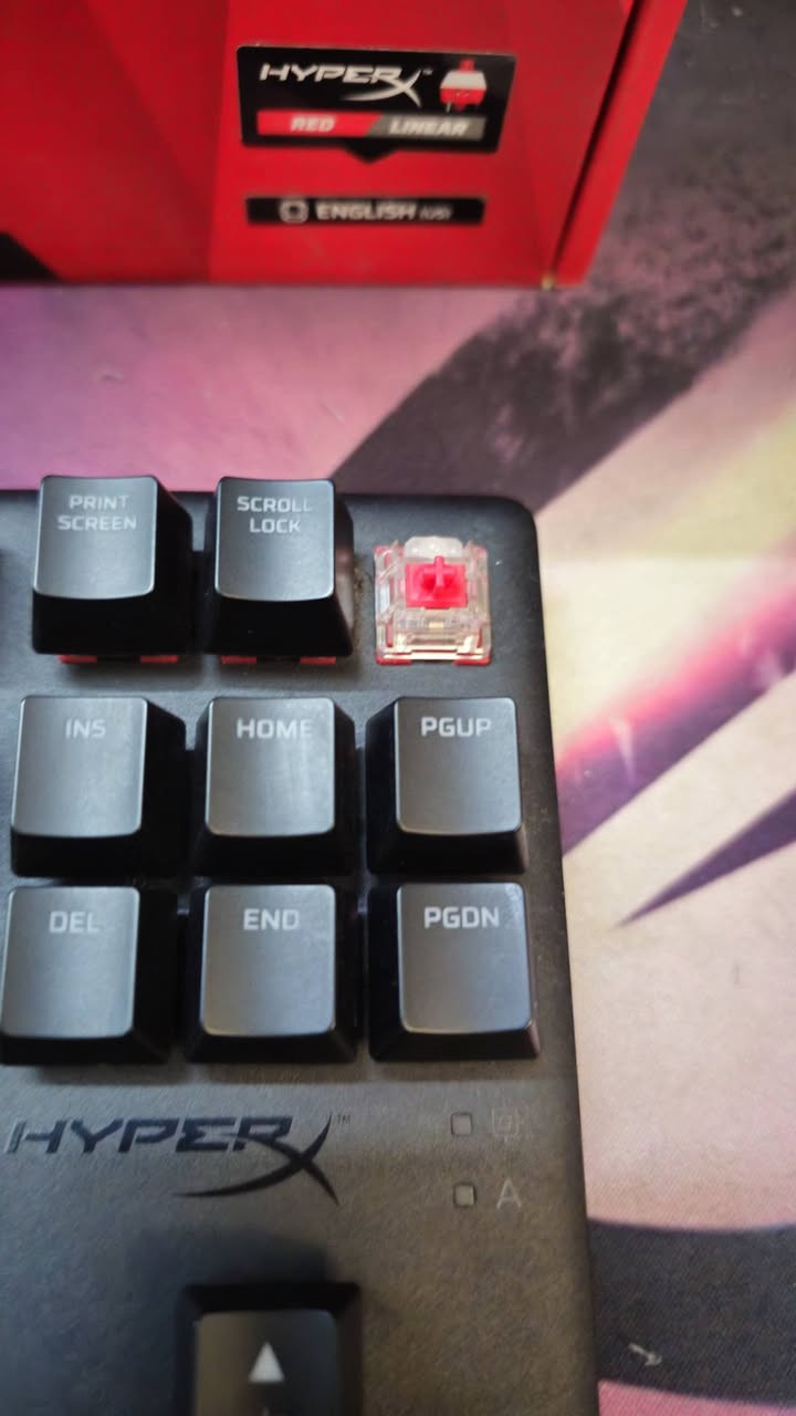 كيبورد hyperx alloy origins core حجم 75% وسعره 45 الف


**إذا كنت صاحب هذا الإعلان وتريد حذفه لأي سبب، رجاءا أرسل رسالة إلى الدعم الفني**