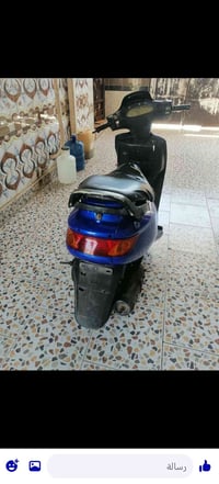 فراشه • فحل • نضيفه
