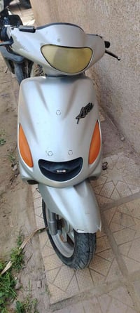 دولفين • شغالة • قابلة تفاوض