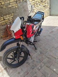 بوكسر جبلي • مكفوله • رقم انكليزي