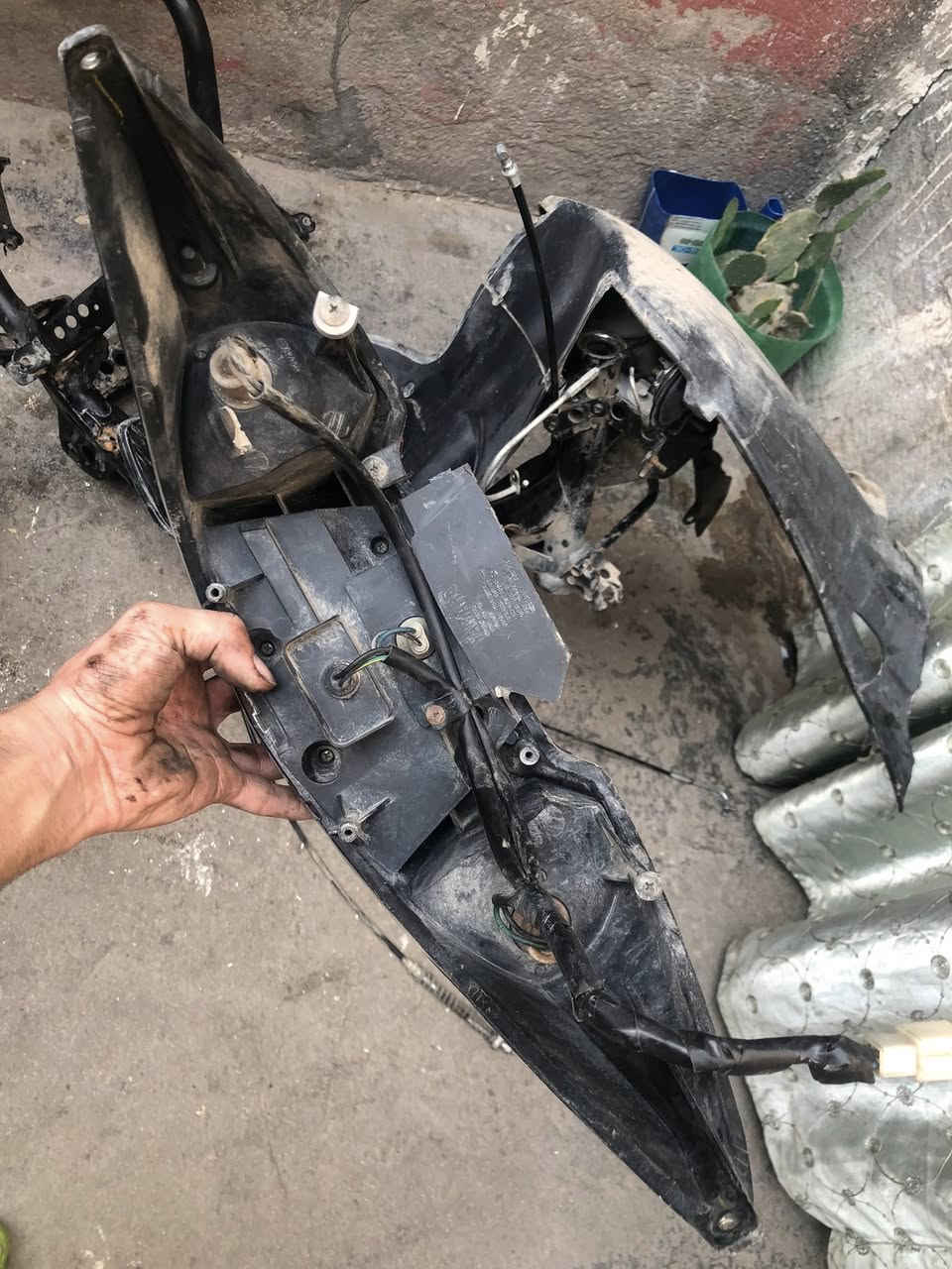 غراض سكنس فحل للبيع مكان بغداد مدينة صدر ***********
