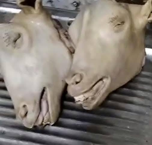تنضيف باجات بانواعها تنضيف بس بماء، حار، واشعوطها  الله شاهد مااخلي اي اضافات عنوان حي النصر
‏‪***********‬‏فقط واتساب
تنضيف باجات بانواعها تنضيف بس بماء، حار، واشعوطها  الله شاهد مااخلي اي اضافات عنوان حي النصر

