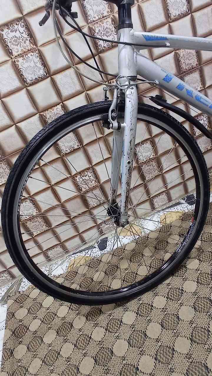 السلام عليكم 
بايسكل للبيع نوع TREK
مناقصه كل شي 
العنوان//موصل//حي السماح 
السعر 65 وبيه مجال بسيط للطيبين
للتواصل ***********
