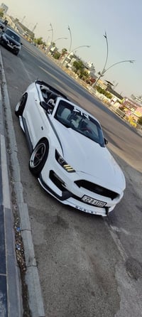 موستنك كشف • V6 • ٢٠١٥