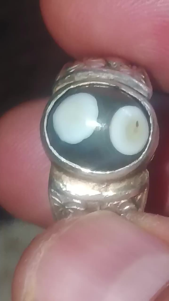 سعره خاص


**إذا كنت صاحب هذا الإعلان وتريد حذفه لأي سبب، رجاءا أرسل رسالة إلى الدعم الفني**