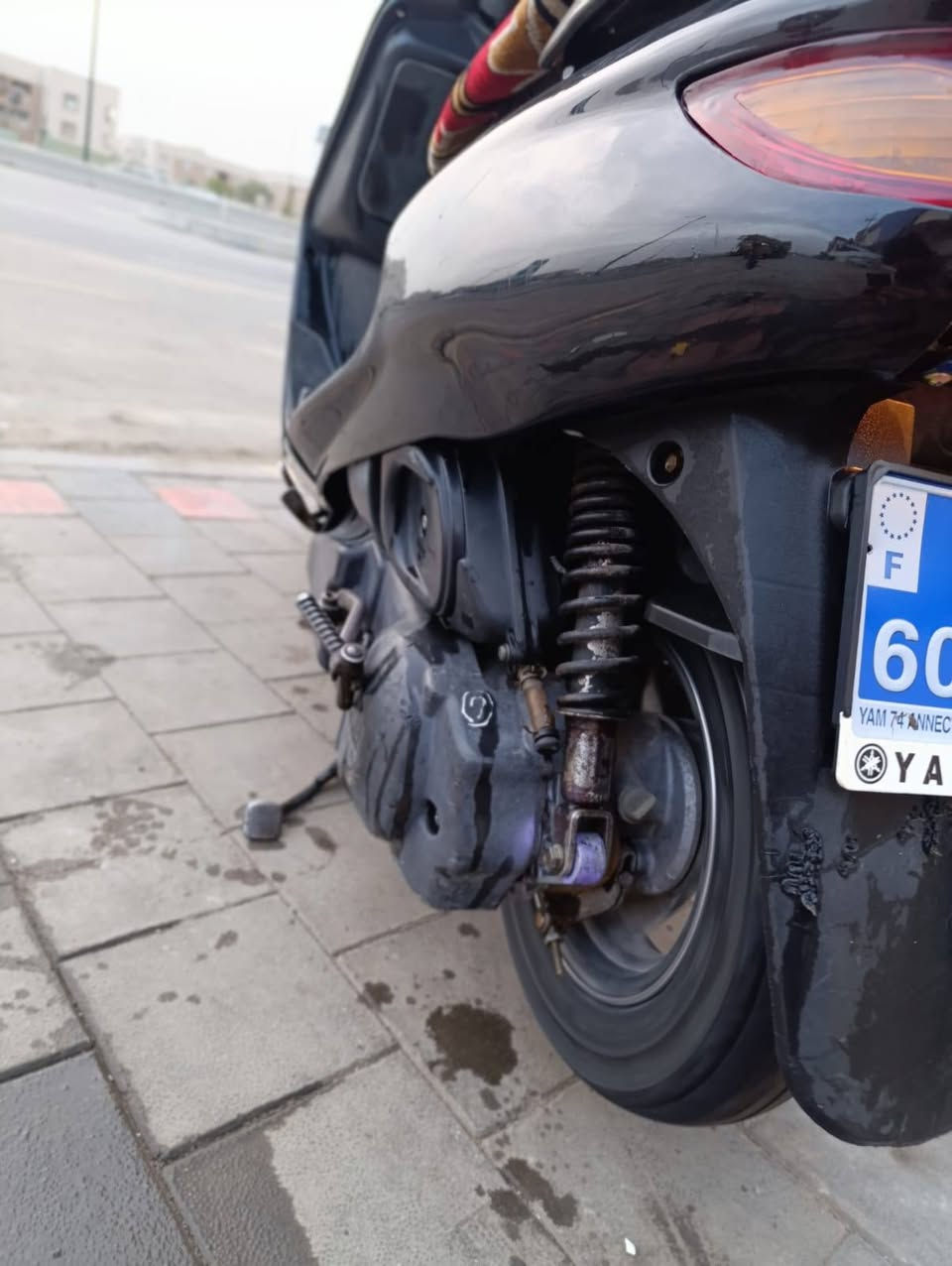 فرشه فحل ب425 مات حاويه شلعه ومعدل فول نجف ***********
