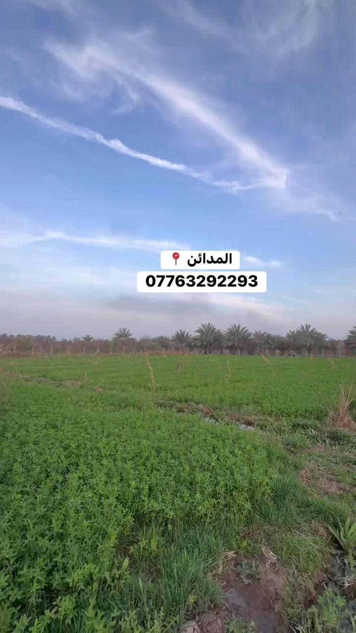 السلام عليكم دونم للبيع 
ملك صرف المدائن قرب شارع سيد علي 
الواجهه 44 خدمات كامله 
للاستفسار الاتصال ***********
