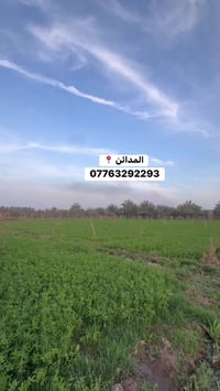 دونم • المدائن شارع سيد علي • خدمات كاملة