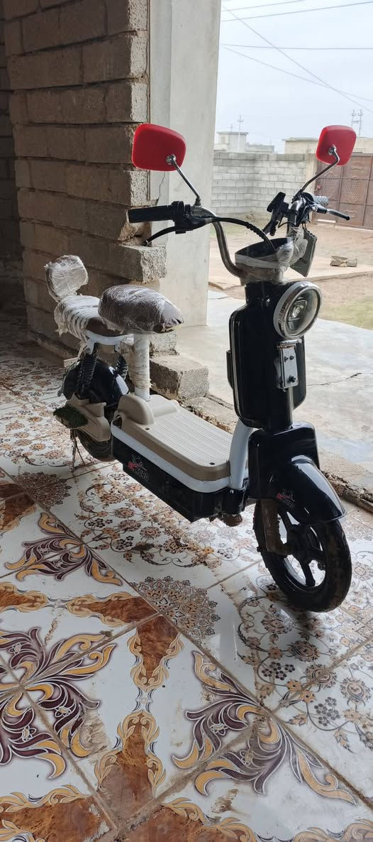 سلام عليكم بايسكل شحن حجم 16 موديل 25 سرعه 99 بايسكل نضيف اربع بطاريات جدد الملف جديد كلشي شغال بي يشتغل بصمه وكرت وسويچ السعر 180الف قفل مكاني قريت امام غربي  رقمي *********** بايسكل خدمي
