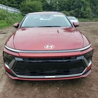 ٢٠٢٥ • وارد امريكي • ٢.٥ تنفس طبيعي