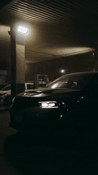 السلام عليكم حبايب
هيلكات ٢٠٢١ كلين ( مو انتربول مثل باقي الهيلكات ولا نقل جثة ) اسود ميتاليك شذره ذهبية ماشية ٢٢ الف عله ايدي بالكامل

مزوده ومبرمجة ويرادلهة بس خيّال كَلبه ميت وما يخاف منهة 

فول مواصفات نقص بس رادار امامي 

مغلفة ppf بالكامل ضمان ١٠ سنين مع استبدال القطع المتضررة  مجاناً 

مطلوب مراوس فقط فقط مع Bmw 530 ، 520  موديل ٢٤ وصاعد خليجي حصراً 

واي استفسار *********** مهندس حيدر
بغداد _حي العدل
