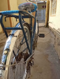 باسكل • دراجة