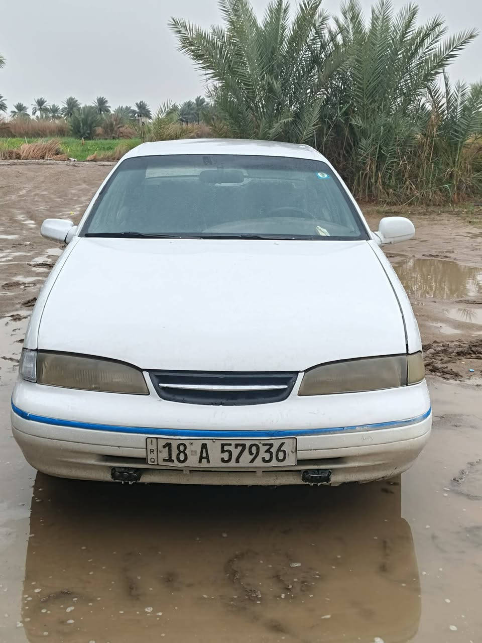 سلام عليكم 
برنس فراشه رقم بابل انكليزي مكينه كير حداديه مكفولات مصبوغه عام مكفوله من الضربه 
السعر 27
مكان بابل شوملي
***********
***********
