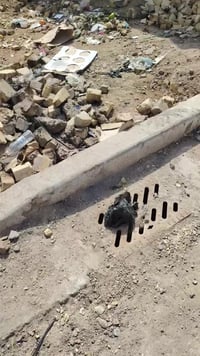 المدثره • قرب البيطرية • ٢٠٠م