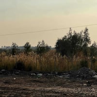 طابو زراعي • حصة مائية • ٢٣ونص×١٠٨