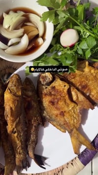 ‏😂🐟 كم واحد راح ينحرم من ه‍يج غدة يجنن . ‏اتصلو ع الارقام ، ومتواجدين ...