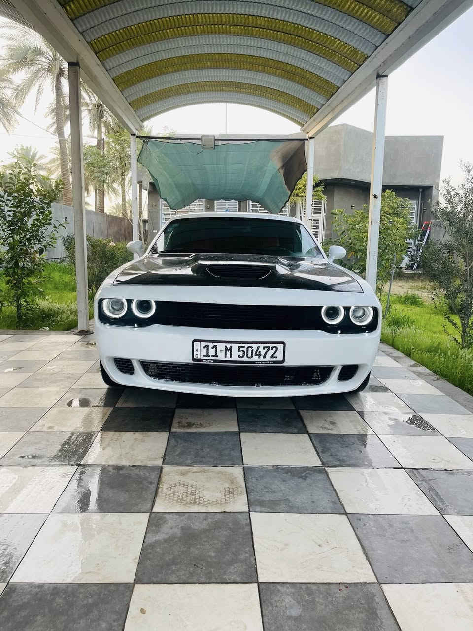 سلام عليكم
جالنجر موديل 2022 

محرك HeMi5.7

ماشيه 48الف مايل 

مواصفات :-كشنات مخمل وجلد شفتات ستيرن هيتر كشنات 

هيتر ستيرن وباقي المواصفات معروفه

الحادث جاملغ وبنيد فقط بدون شاصي بدون لغد اكفل الشواصي ولغود من جكه الابره من بارد من رش من خصره من اي شي  بشرط جكه ماكو 

السياره عليها تخم وياله وتايرات تو سايز جدد كارتون 

محرك وكير بشرط كفاله برغي واحد ممفتوح 

لاتات زنون دفيوزر هيلكات 

سبويلر ريد اي تضليل جام 

طبعا السياره ستوك حجر بيئه موجود ما ملعوب بي ولا مشيول 

اي سيرفس ما مشتغل عندك 

دشبول مبدل كامل اصلي هوه ولسستم مالته مال ايرباك 

حداديه وكاله ودبلات اربعه صفر بلاد شركه 

السياره كلش جديده وبالحقيقه كلش حلوه 

هزه جديده وسنويه كذالك 

السعر ١٩٥ وبيها مجال 

مكاني بابل 

***********
