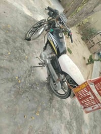 ٢٠٢١ • بعقوبه • بهرز