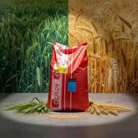 محلات هيثم • بذور حنطة • بنت الجيس