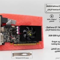 GT 730 • ٢ جيجا • نسخة LP