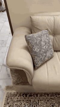 السلام عليكم تخم تركي للبيع  مشتري من الجشعمي السعر٧٥٠ مكاني بغداد للتواصل واتساب ***********
