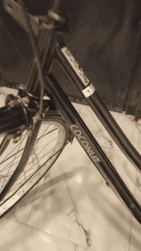 السعر 100 موصل حي السماح


**إذا كنت صاحب هذا الإعلان وتريد حذفه لأي سبب، رجاءا أرسل رسالة إلى الدعم الفني**