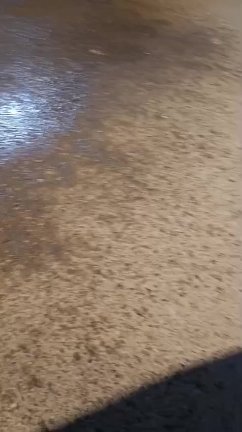 السلام عليكم بيت في حي الحسين منطقه3 قريب على شارع 60 المساحة 175 متر البيت بناء سنه 24 وجاهز للسكن حالياً فارغ بيع مستعجل بناء كونكريت الاتصال على هذا الرقم ***********
