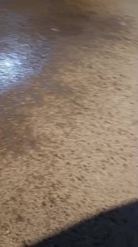 حي الحسين • ١٧٥م • جاهز للسكن