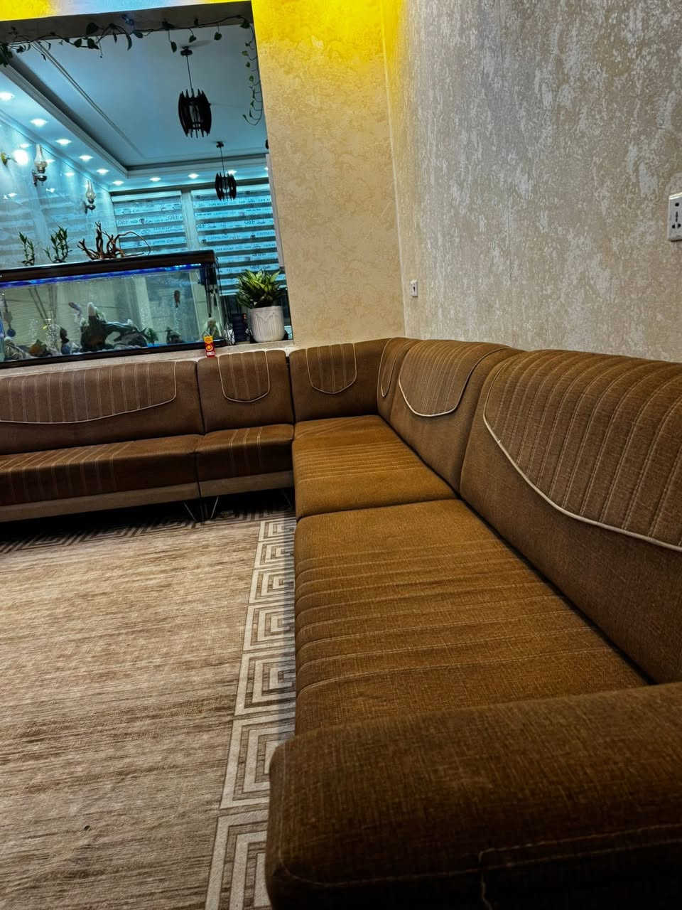 للبيع تخم ديوان 13 مقعد وجاكوزي جديد شغال


**إذا كنت صاحب هذا الإعلان وتريد حذفه لأي سبب، رجاءا أرسل رسالة إلى الدعم الفني**