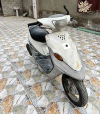 بيجي • فحل • ستوته