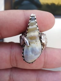 لوي نباعي • حجر طبيعي • ناصريه